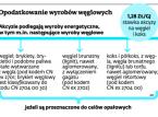 Minister finansów chce akcyzy na brykiet węglowy do grilla. Będą podwyżki cen?