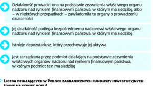 Zagraniczna instytucja wspólnego inwestowania