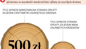 Nowe zasady wycinki drzew