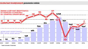Liczba kart kredytowych ponownie rośnie