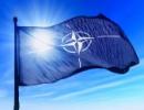 Ekspert NATO: Ostatnie lata pod znakiem wzrostu liczby ataków hakerskich na dużą skalę