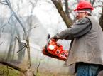 Inteligentne nożyce do żywopłotu, kosmiczne kosiarki - konsumenci wszędzie szukają gadżetów