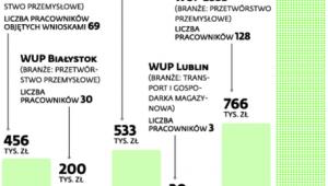 Gdzie i o jakie wsparcie starają się przedsiębiorcy