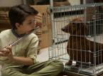 Wszystkie stany kina. American Film Festival rusza już 25 października