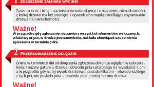 Jak usunąć drzewo z prywatnej nieruchomości