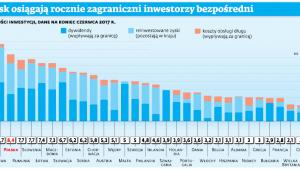 Jaki zysk osiągają rocznie zagraniczni inwestorzy bezpośredni