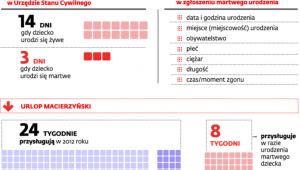 Formalności związane z narodzinami dziecka